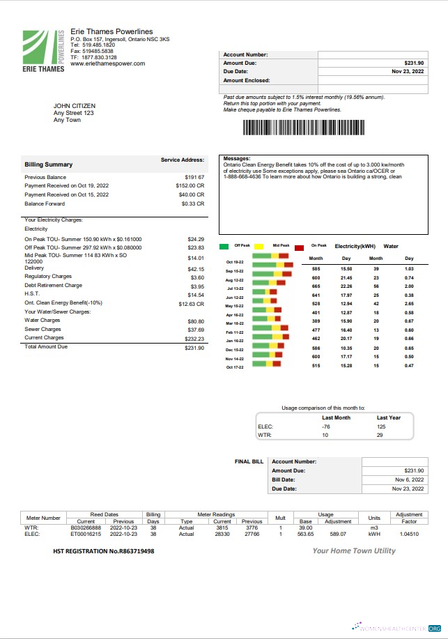 download download USA Ontario Erie Thames utility bill template in Word and PDF format PDF template PDF template